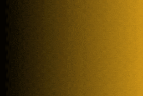 Professional ticket booking services