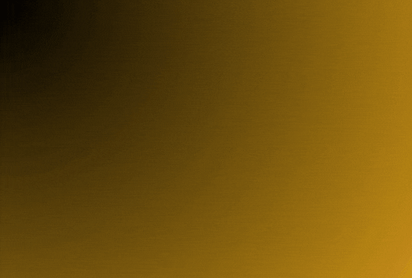 Professional fast food order taking services